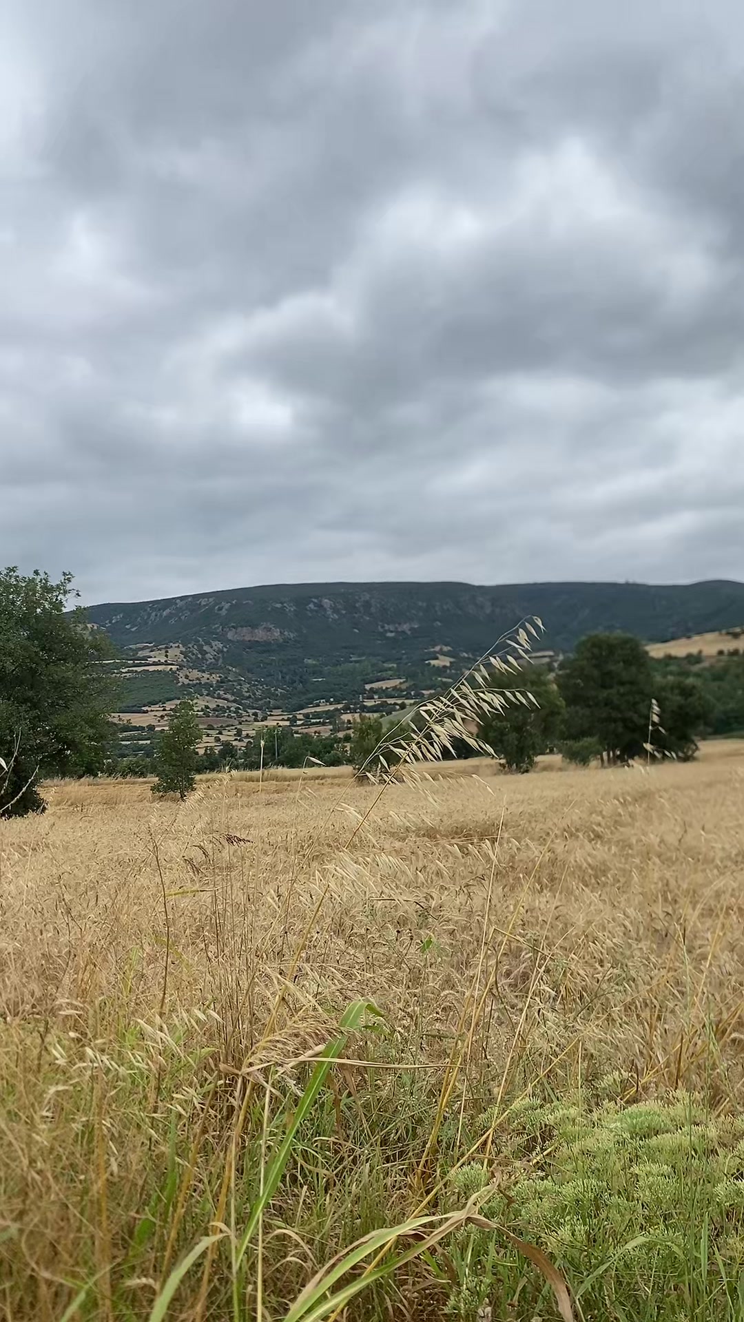 @Cengiz 05