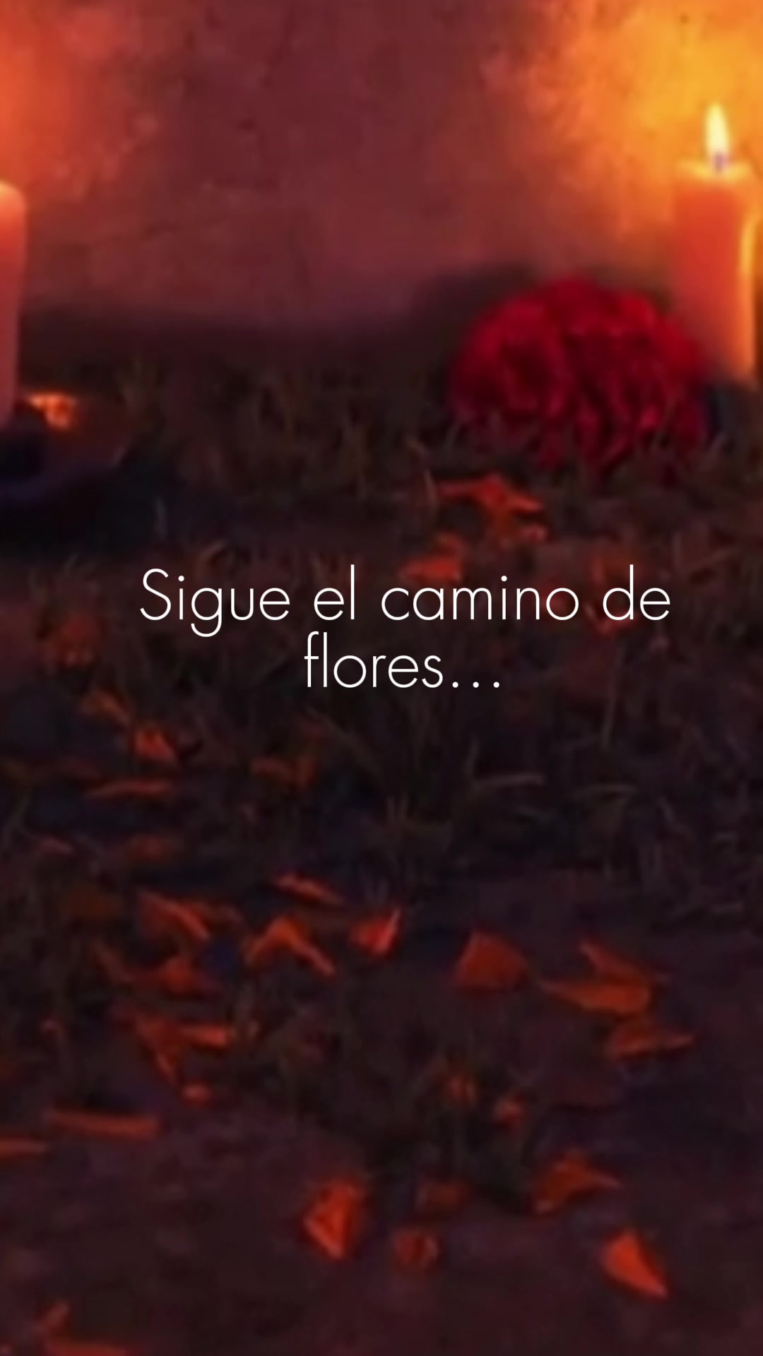 @Estrella Estrada
