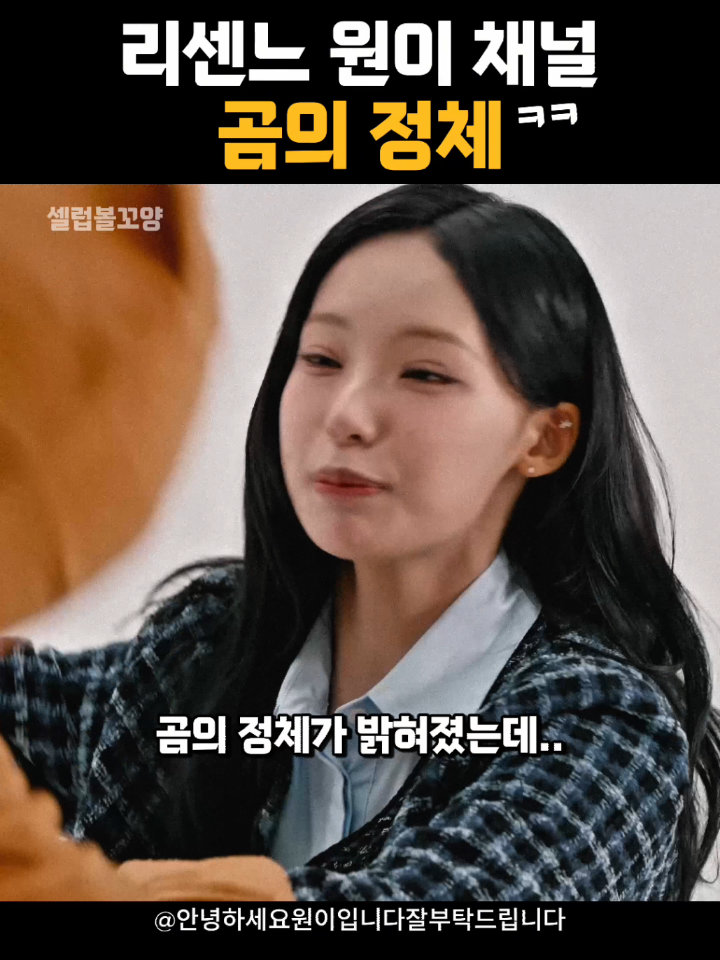 @셀럽볼꼬양