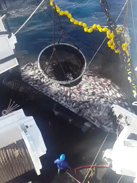 @🚢hàmìdø⚓⚡Ræysë🐬🏴☠️