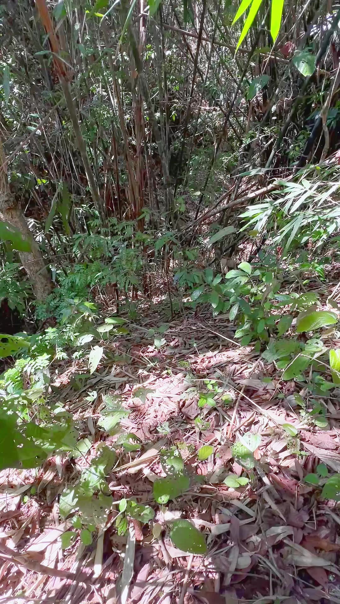 @C&C Miền Núi ⛰️