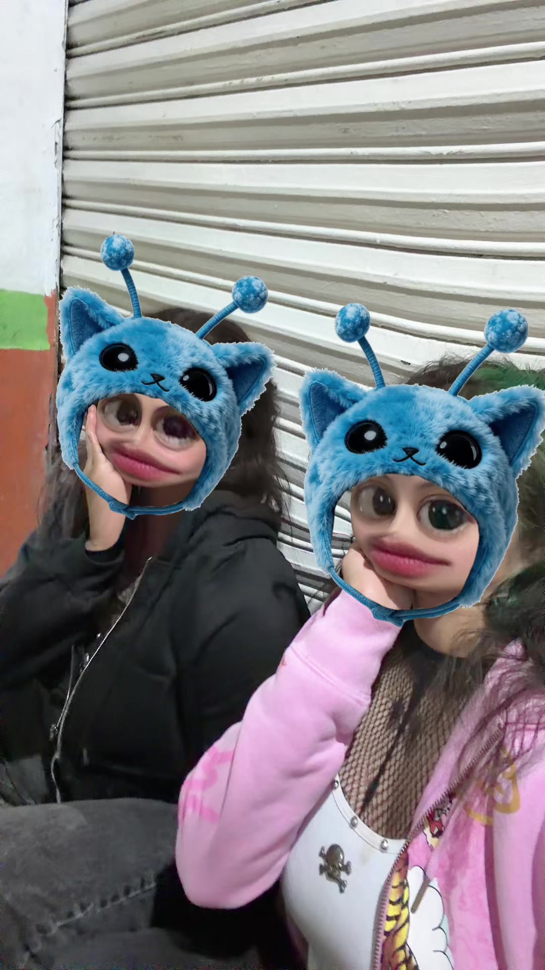 @wingleess
