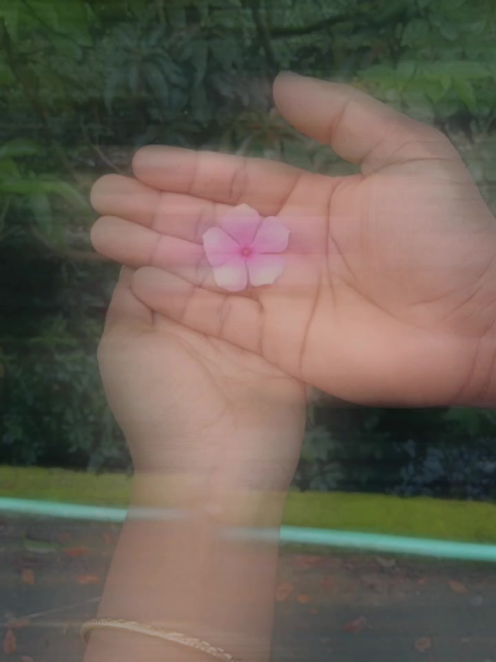 @Sanzida Nahar
