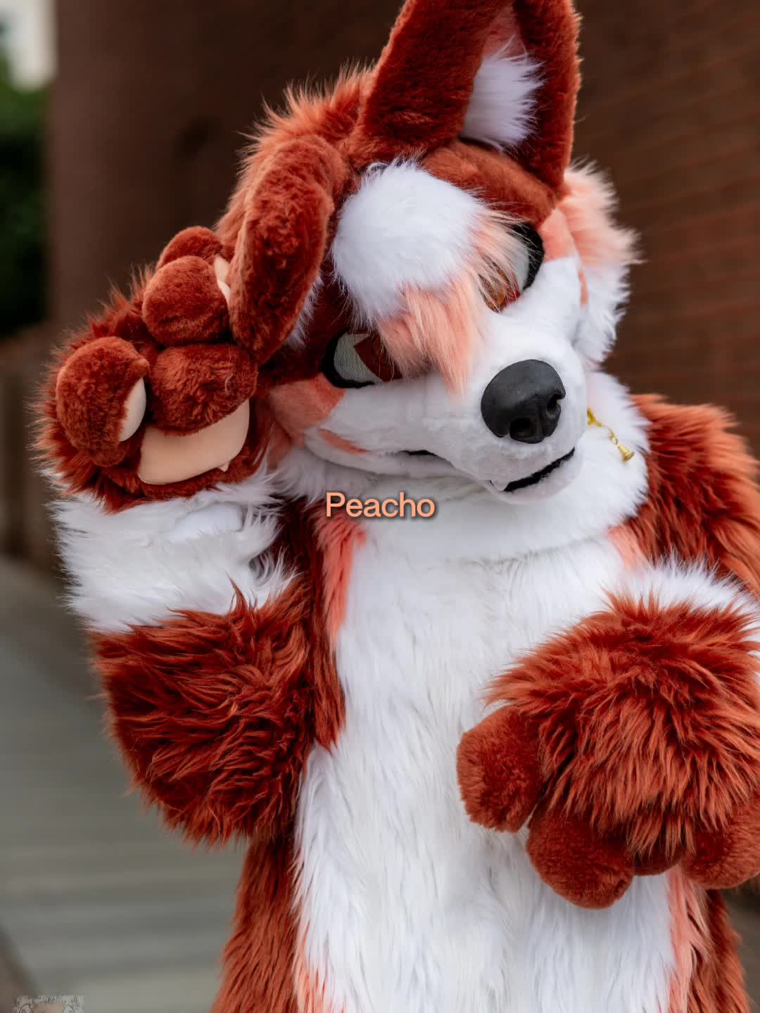 @🍑ℙ𝕖𝕒𝕔𝕙𝕠🍑