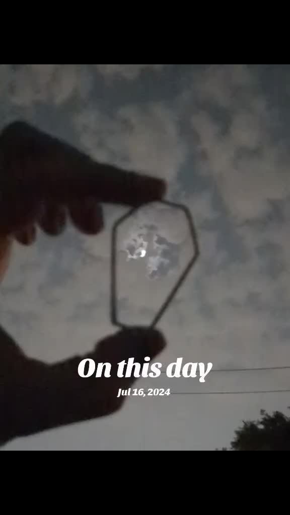 @TheMoonlightFox