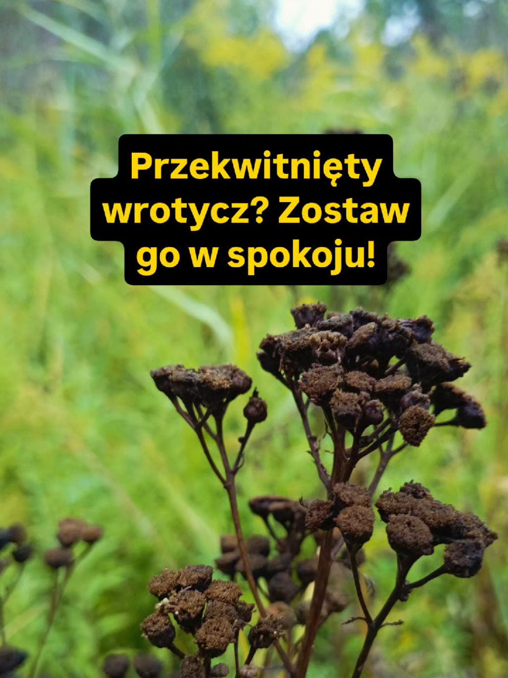 @Chwila Na Naturę🌿
