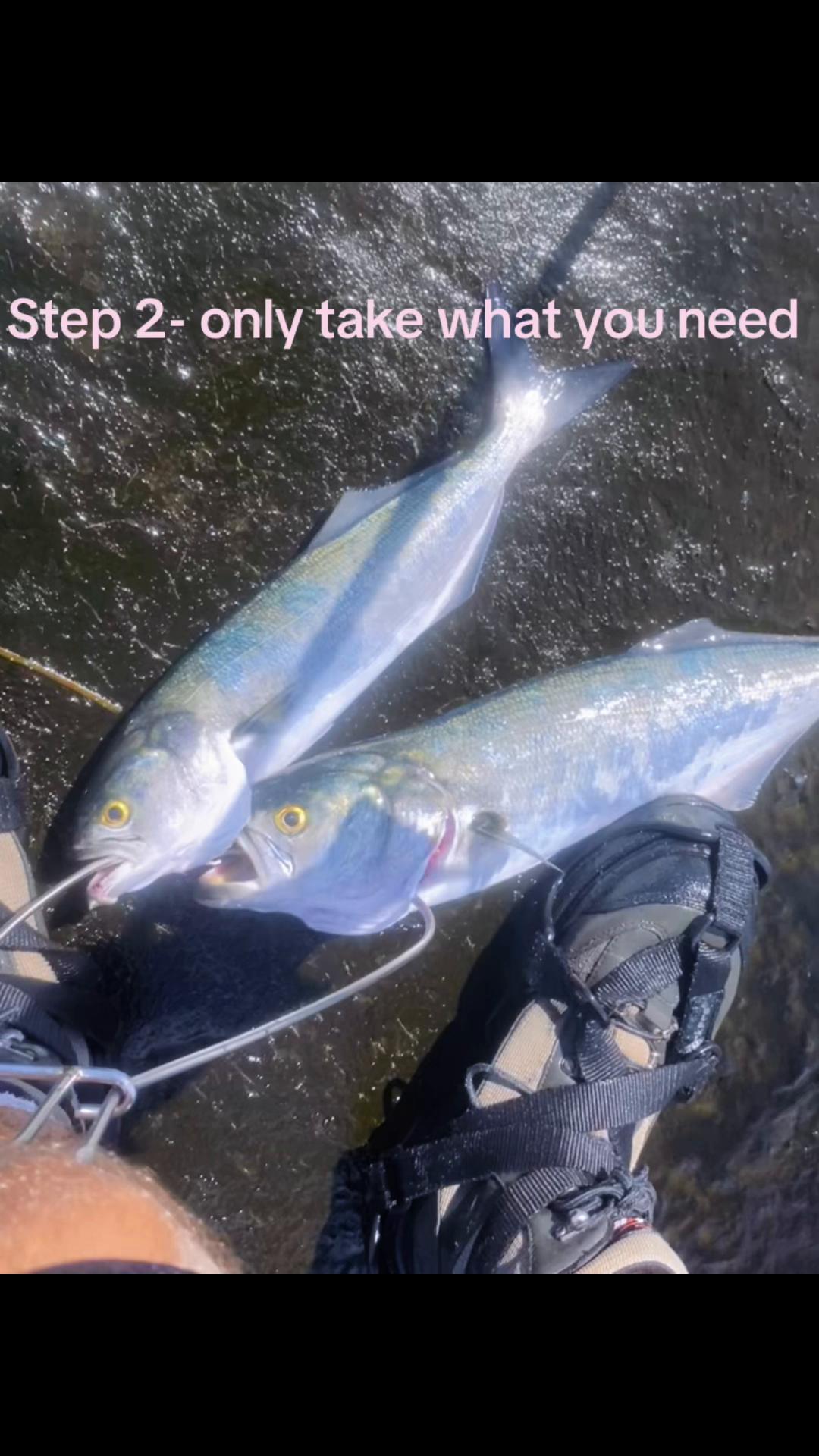 @JustLike2BeOutside