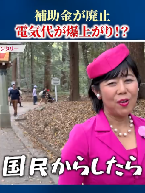 @ピンク社長の太陽光投資が最強