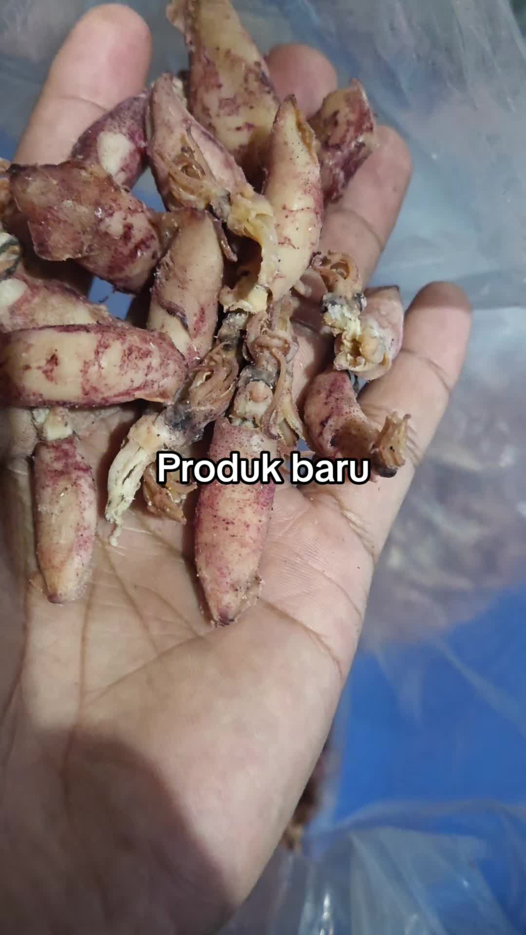 @Teri Barelang