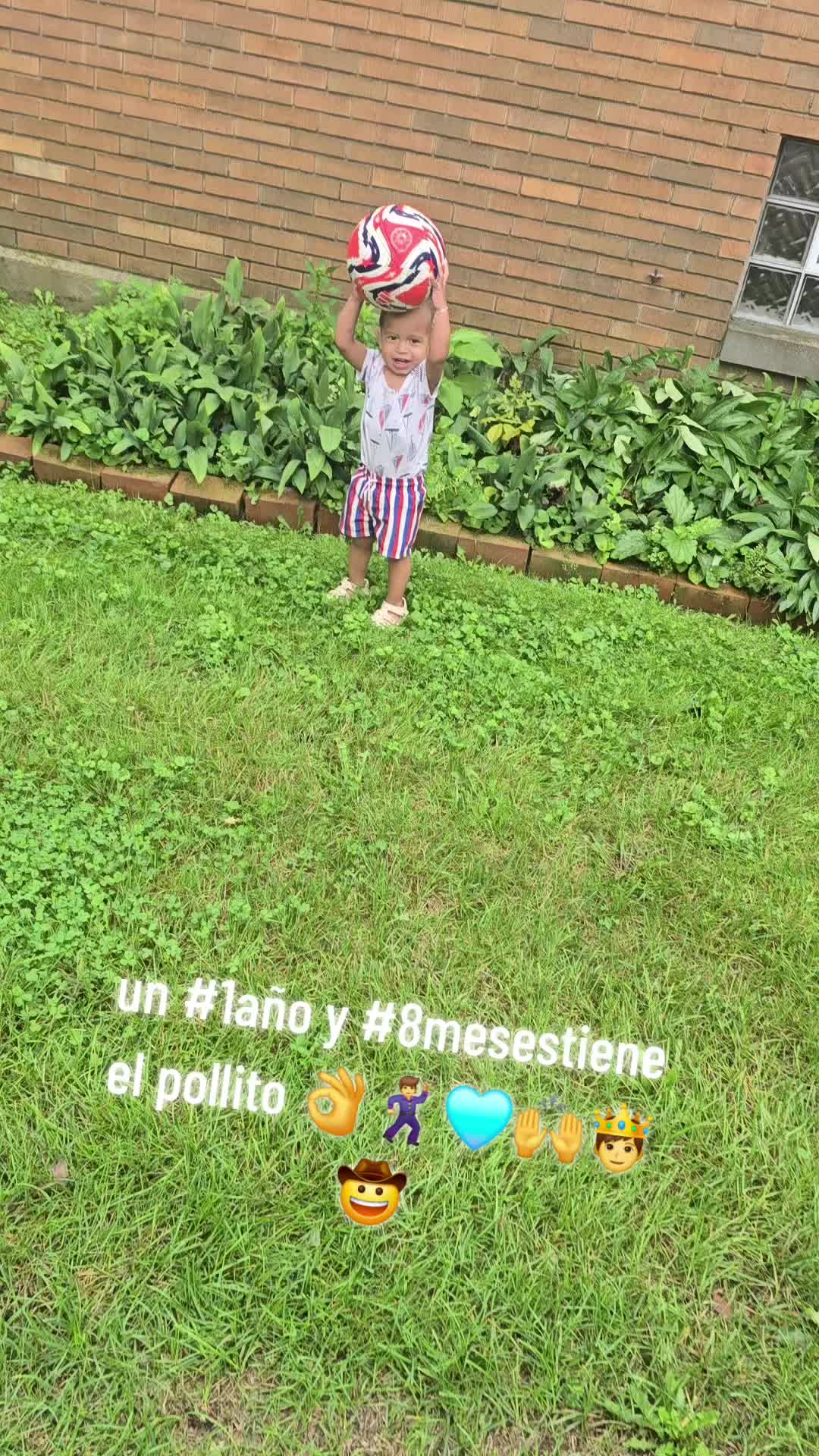 @wilerijose