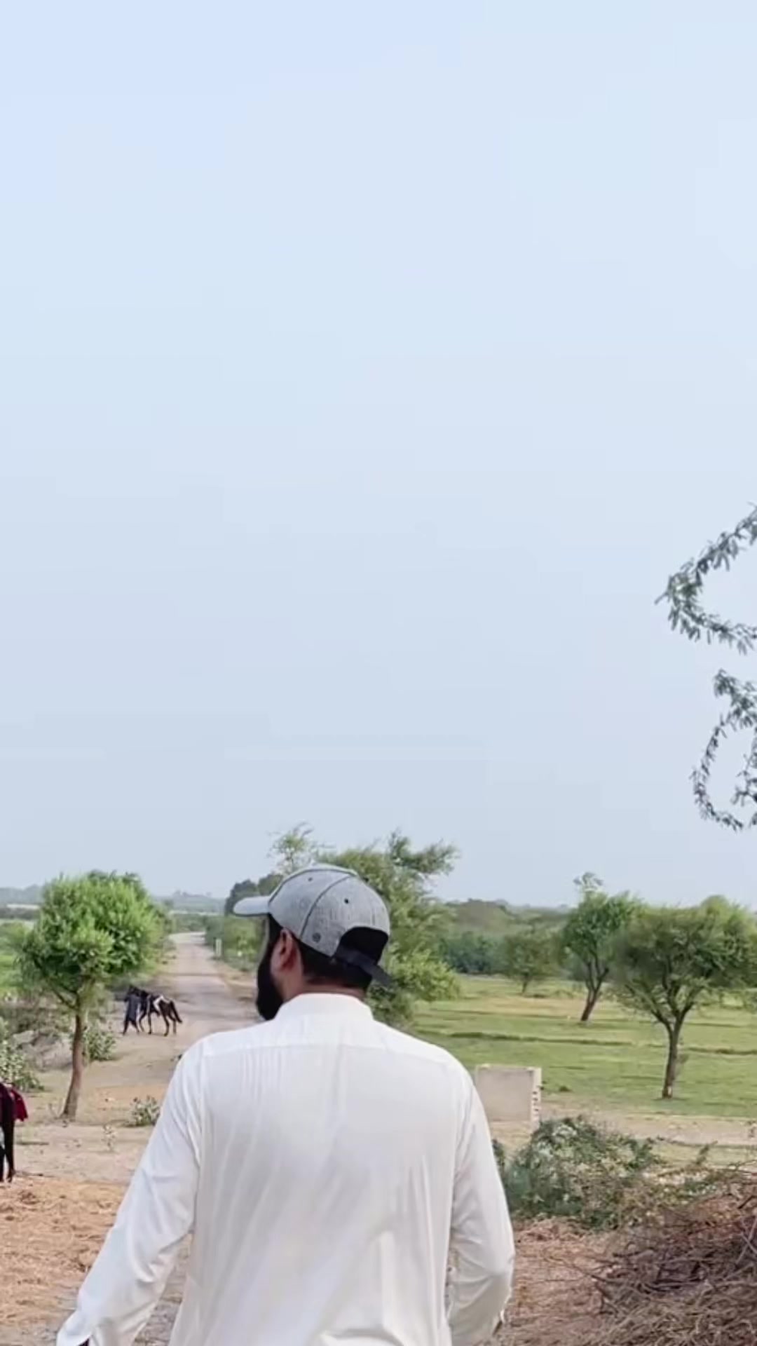 @Arbab Ameer Inamullah
