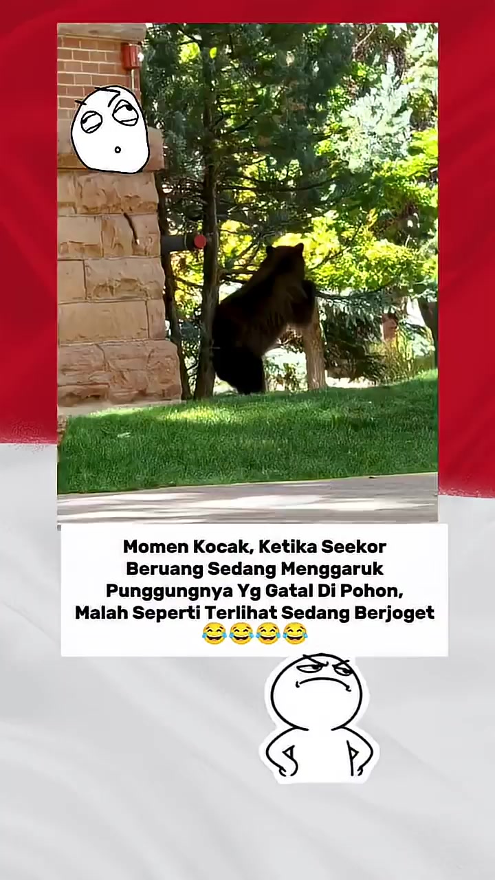 @Kiki