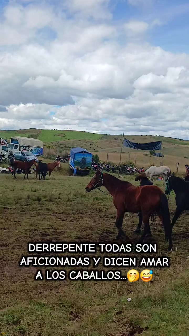 @KatyG&uuml;t&iuml;&euml;rr&euml;z:)&hearts;️🏇