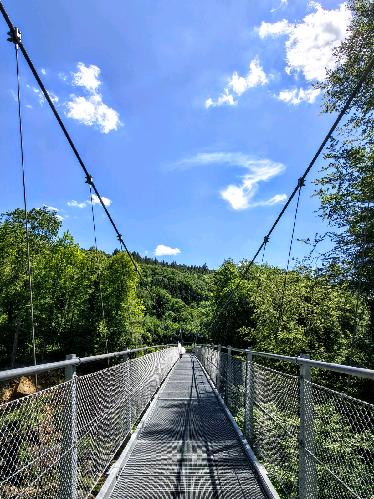 @Anne's Adventures 🧭