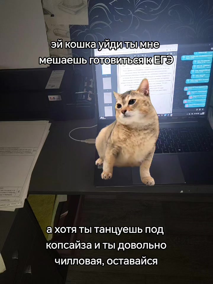 @кетонис