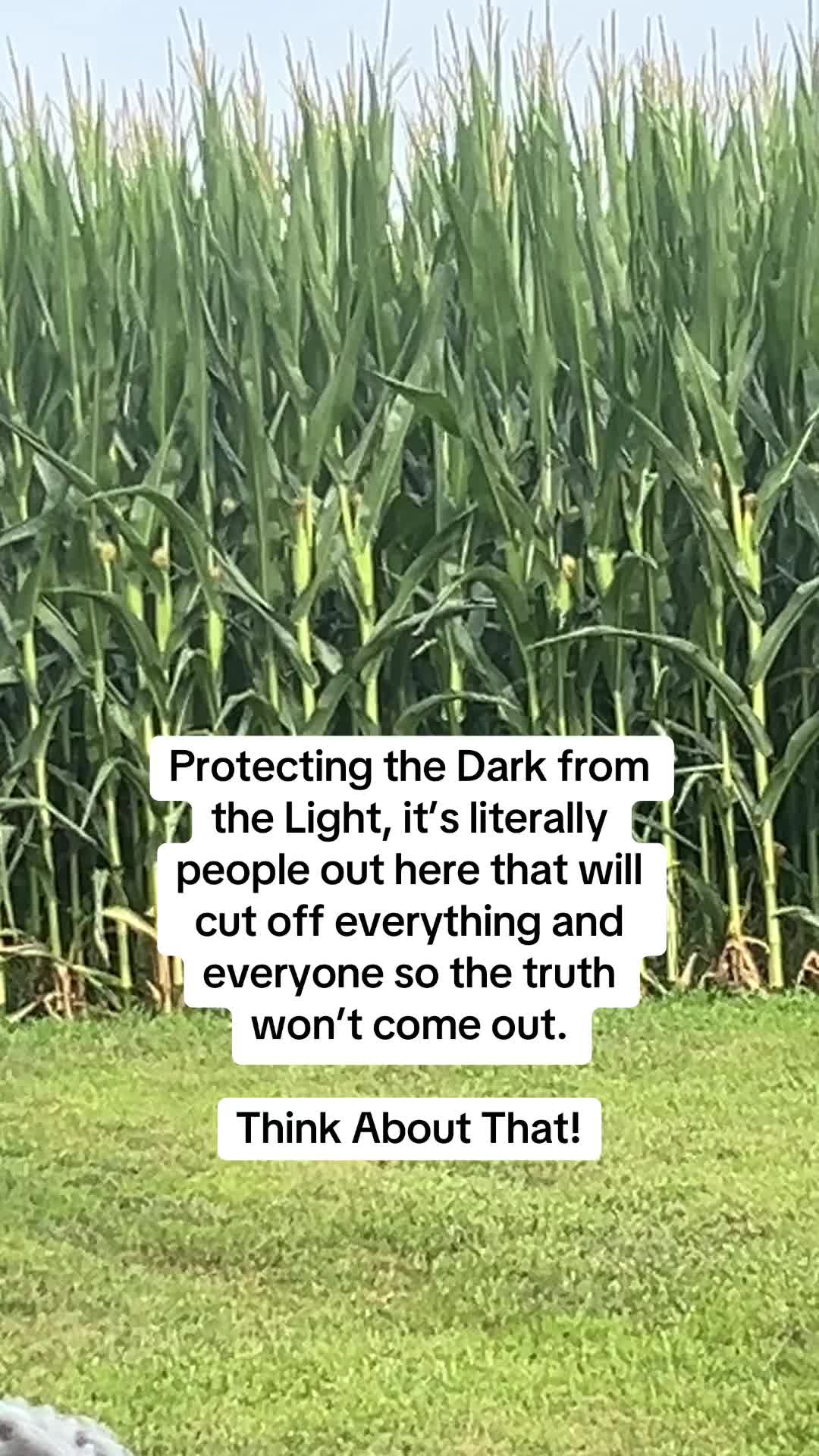 @Reese