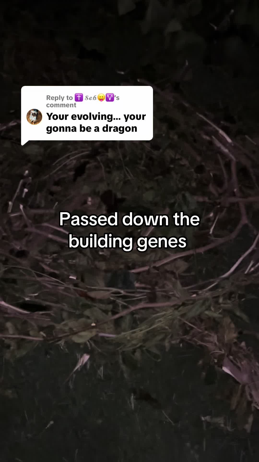 @Stizzy 🦆 🦆