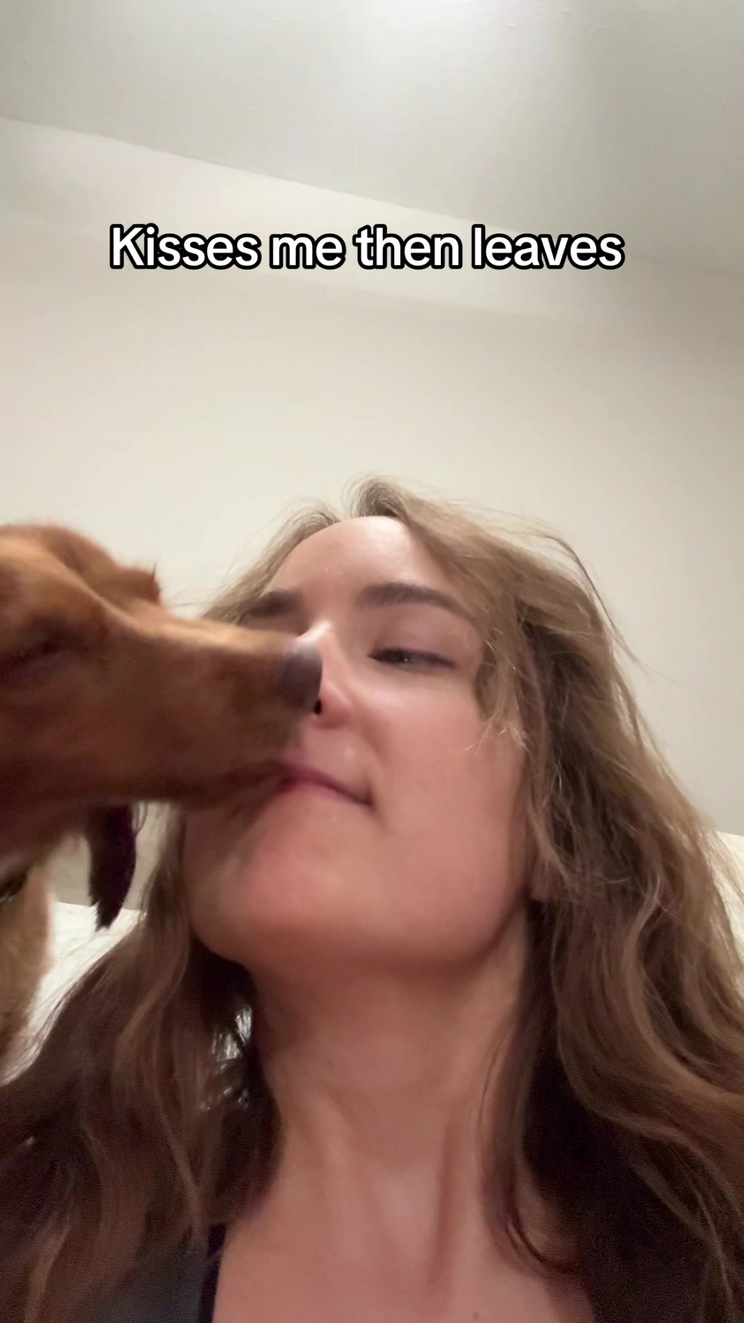 @Penny Pawkit