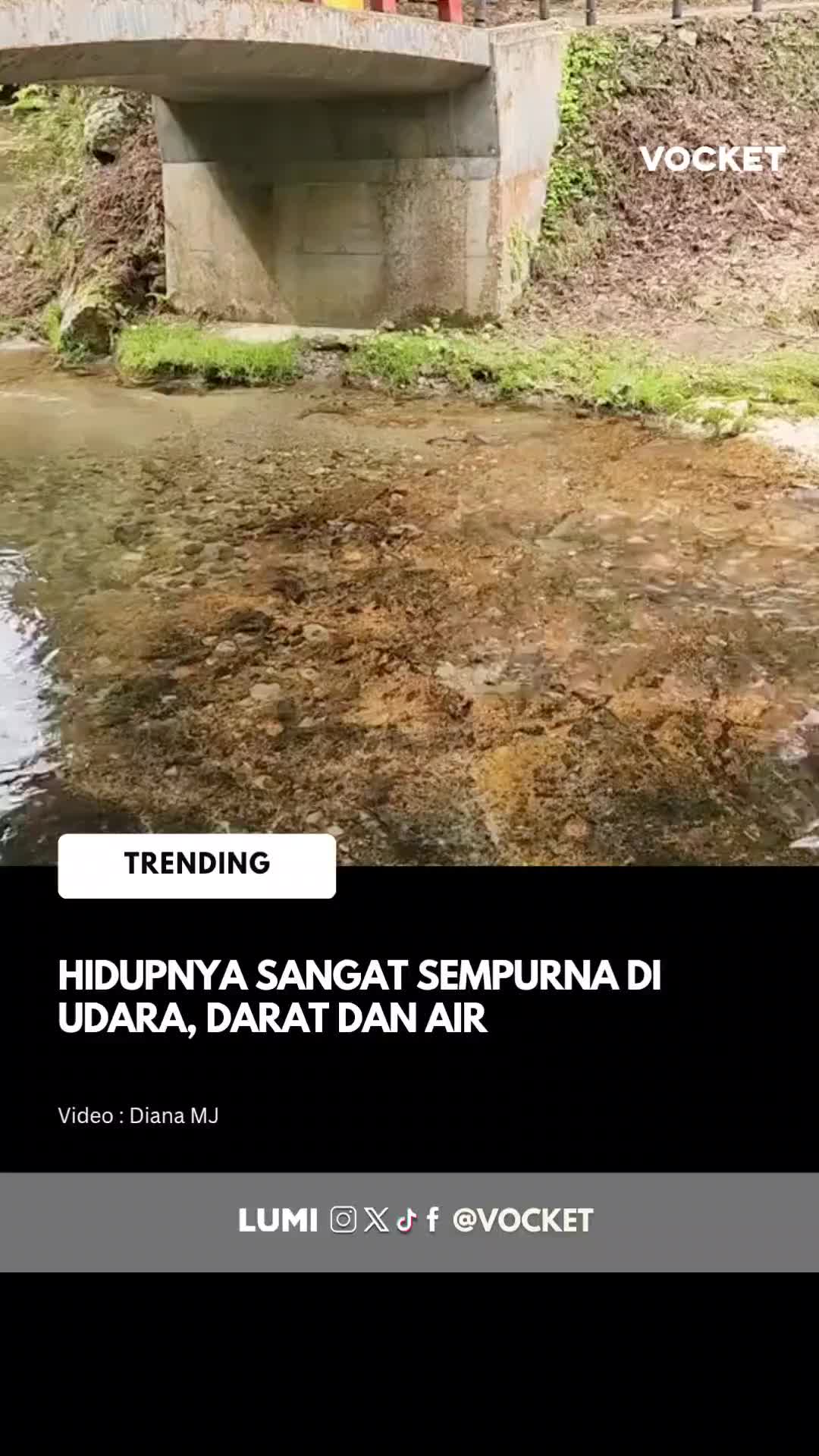 @vocket