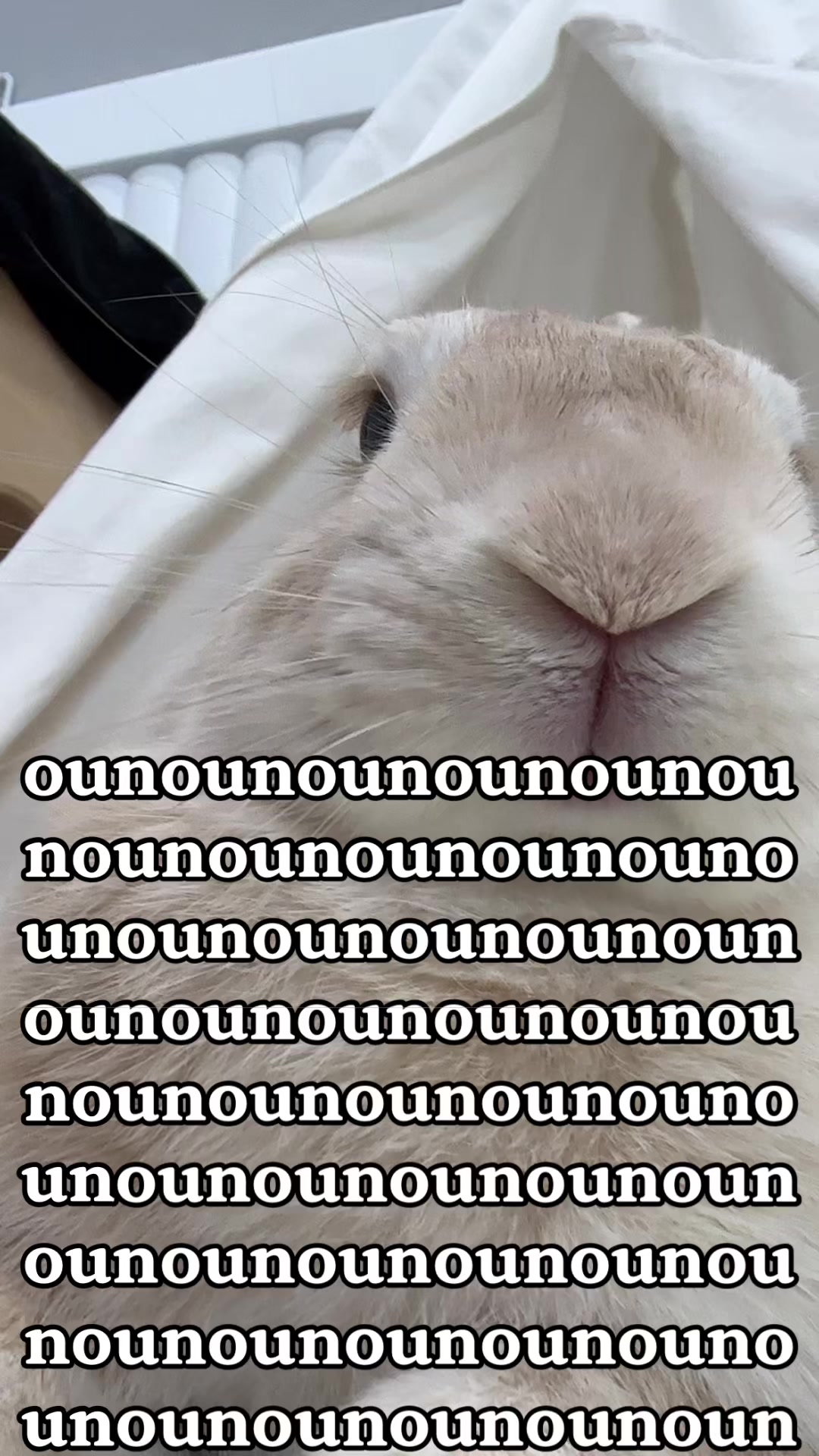 @WONDOO