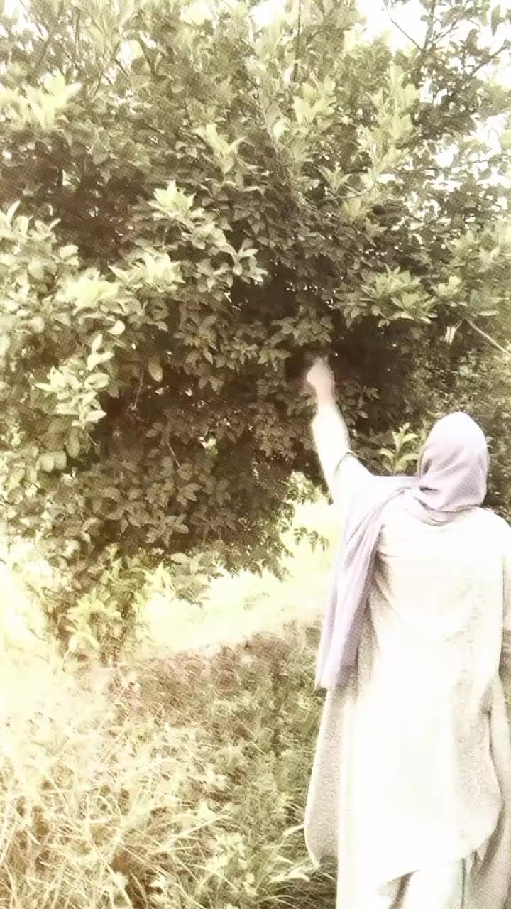 @🔥🦁راجپوت زادی🦁🔥