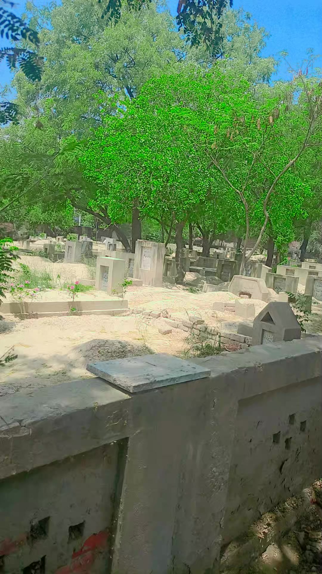 @🇵🇰 میاں صاحب 🇵🇰 🚭 𝑵𝒐 🚭