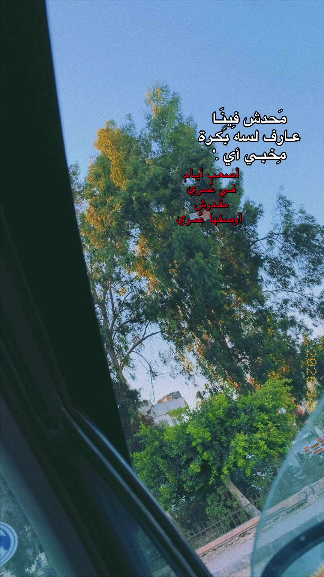 @shahd nassar