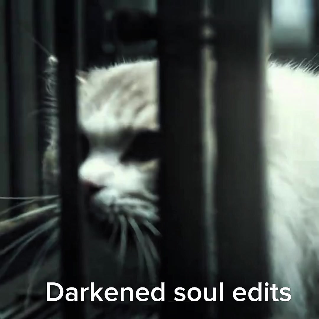 @Darkened soul edits