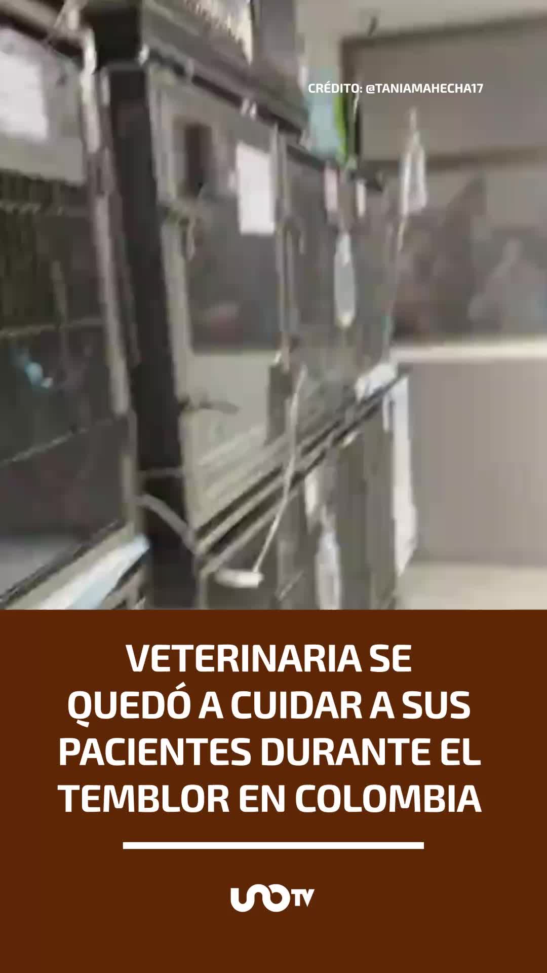 @UnoTV