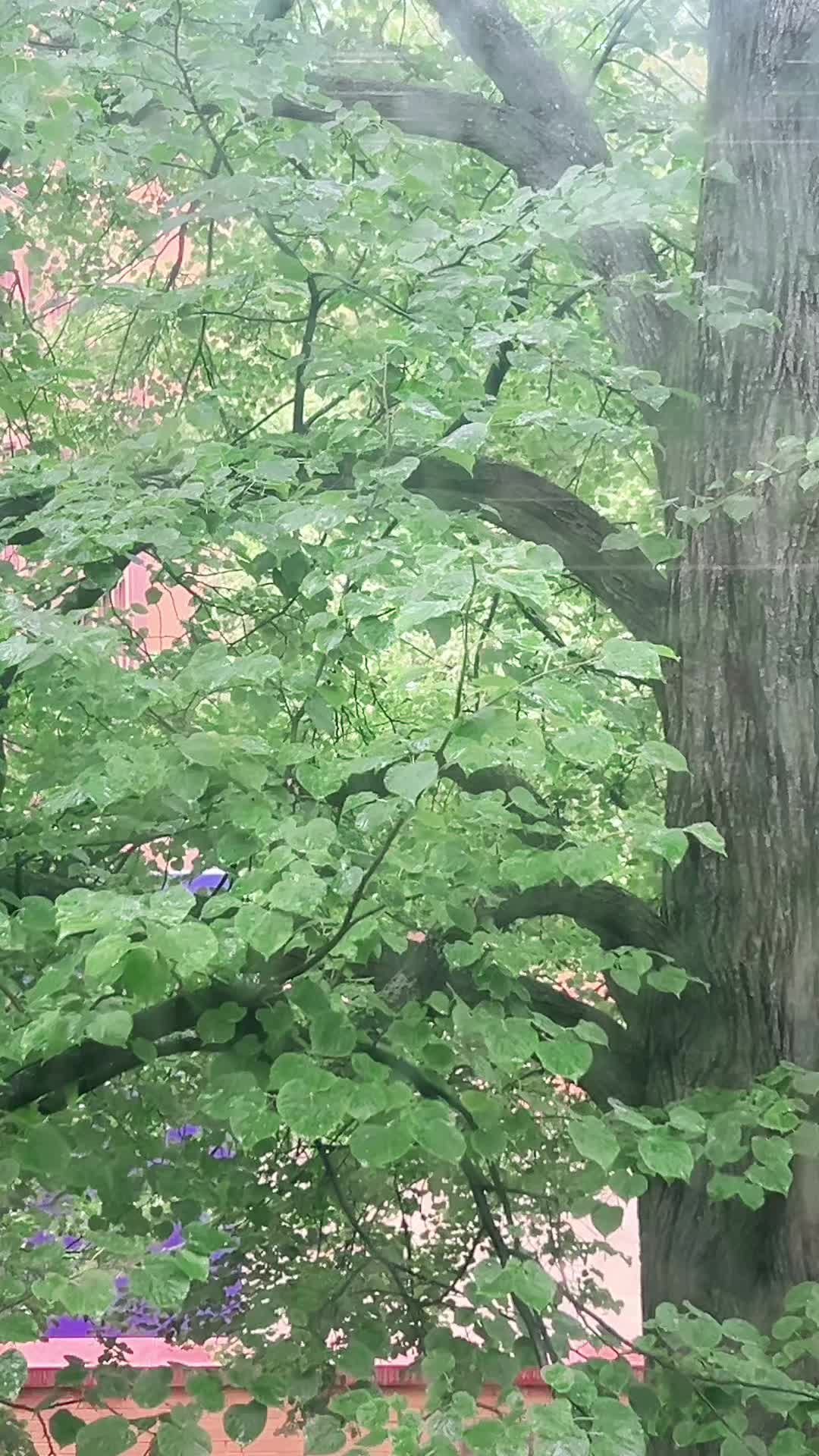 @4155