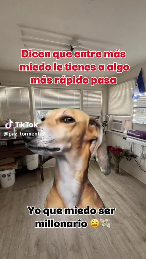 @Delma Castanon
