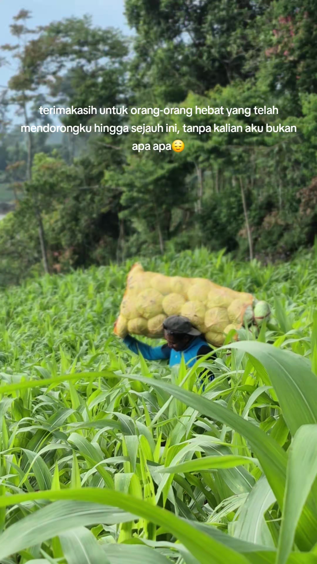 @sidiq prasetya