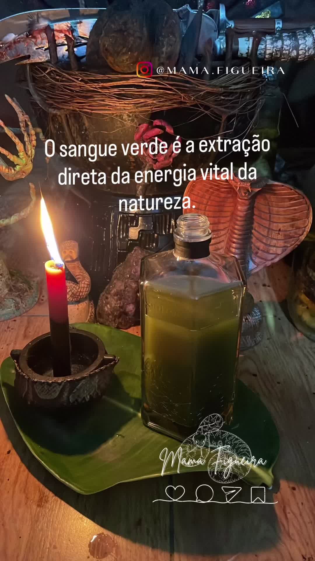 @Mama Figueira