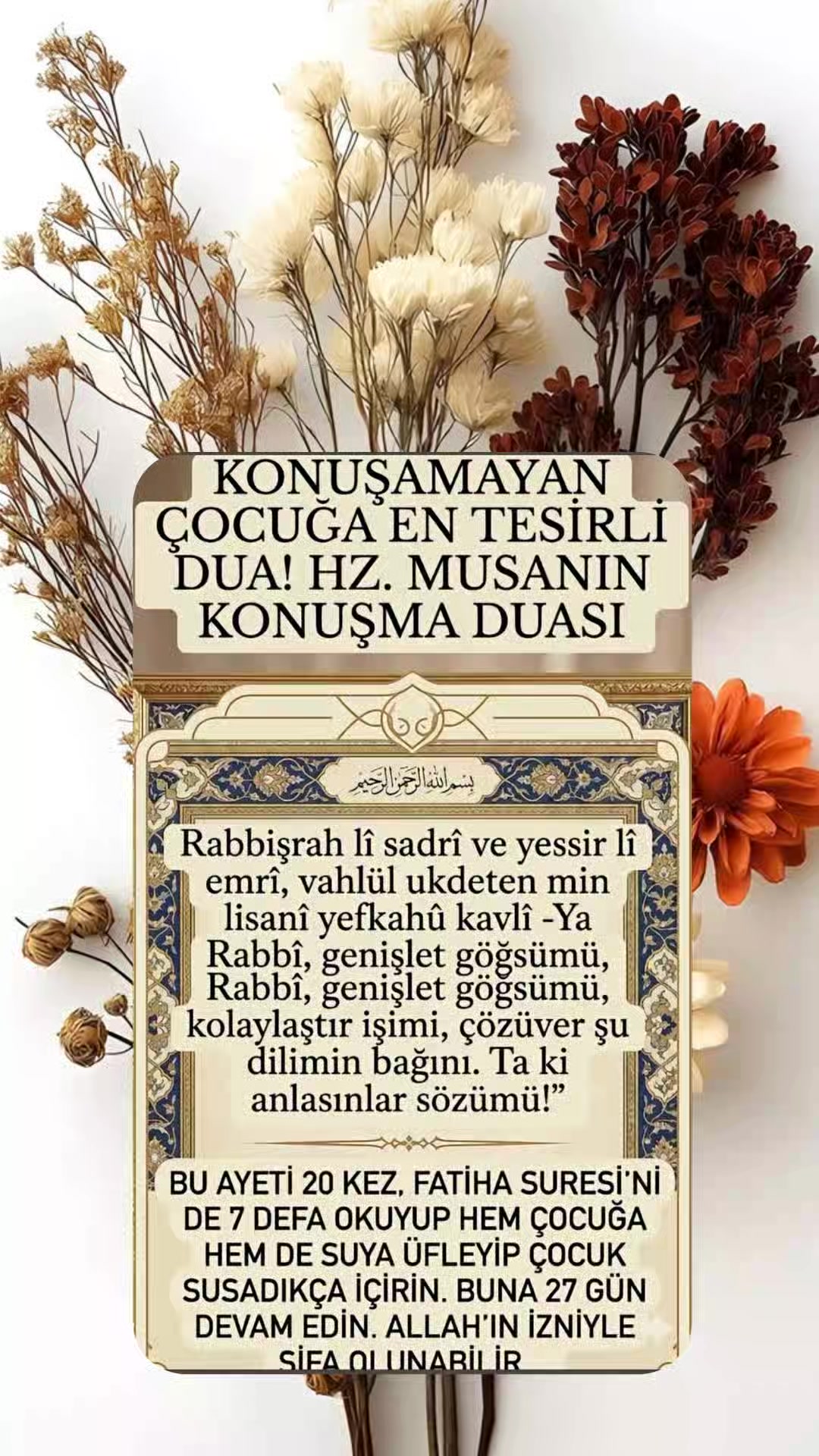 @hayat nereye gidiyor