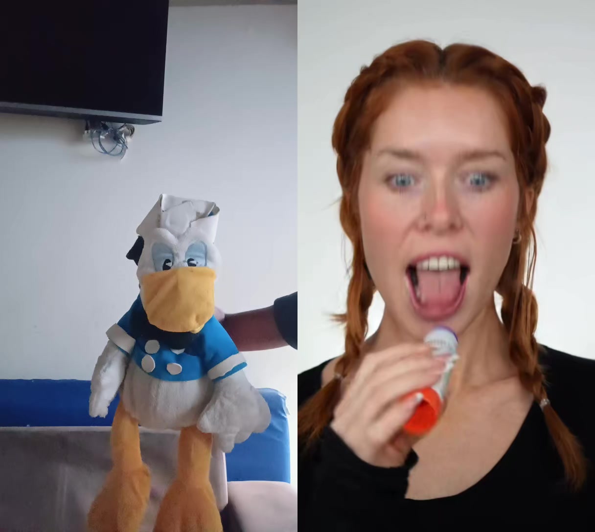 @donald duck mickey Goofy