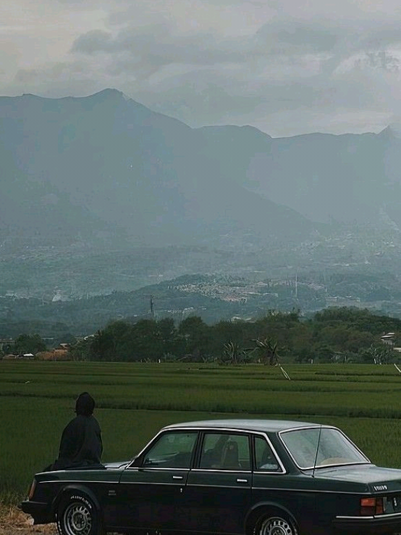 @ميزشا