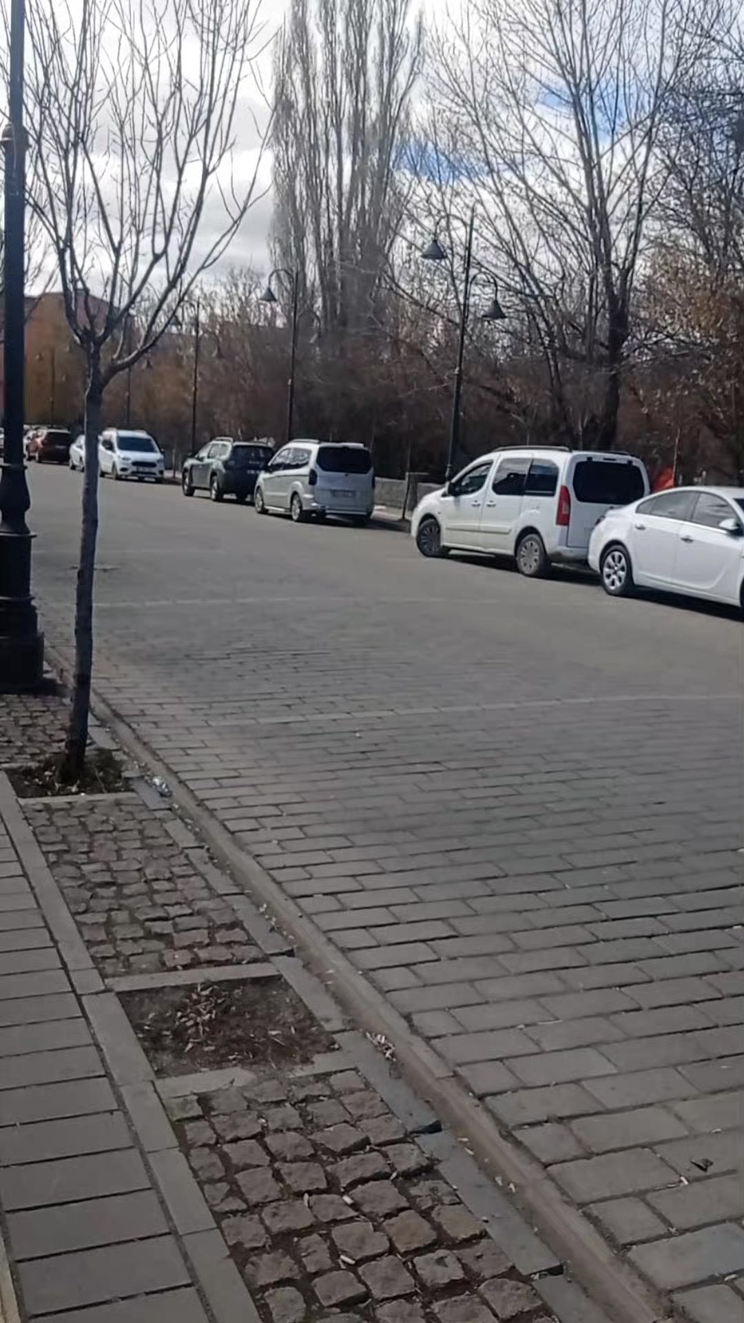 @🇦🇿 Elnare🇦🇿