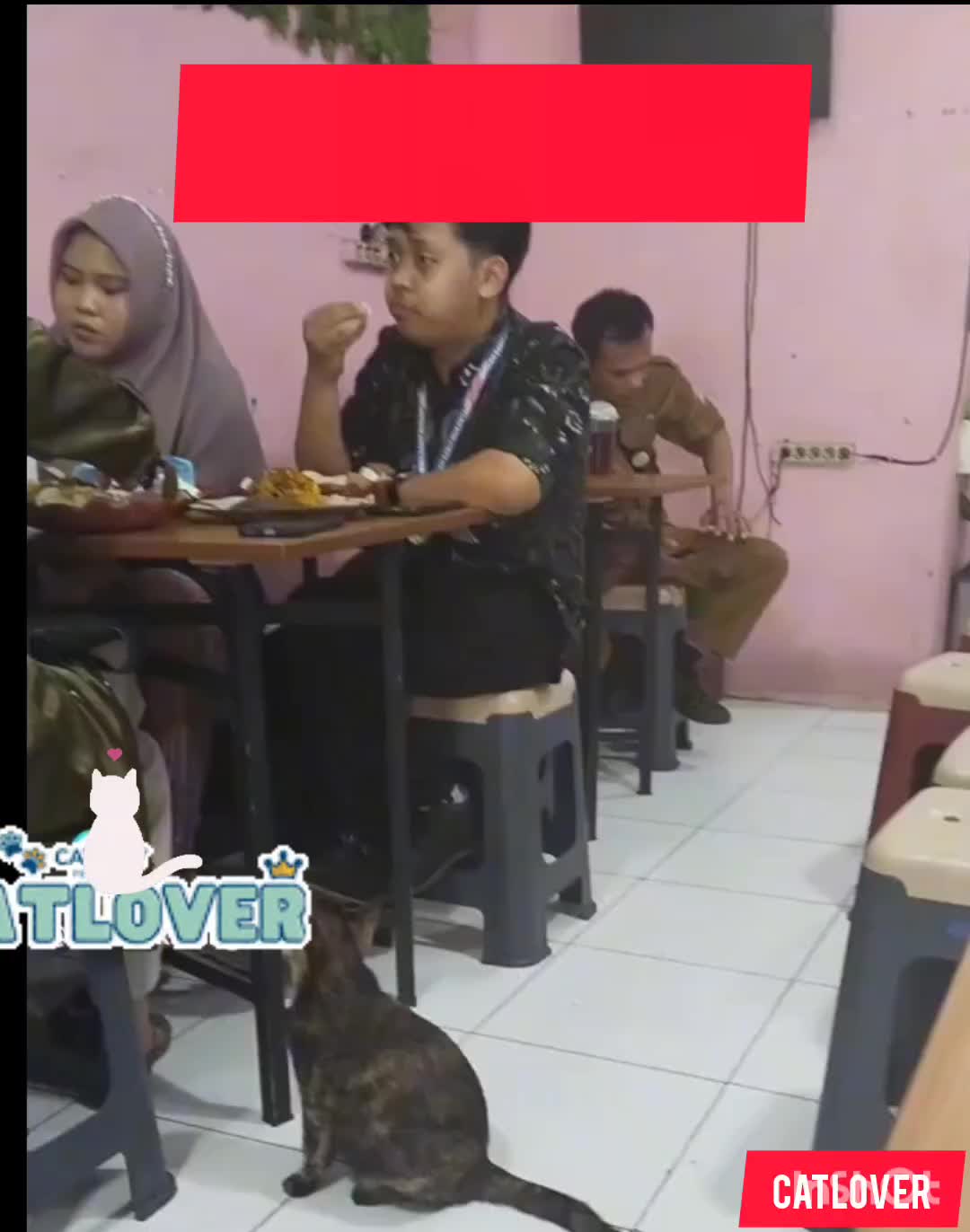 @ceobaran
