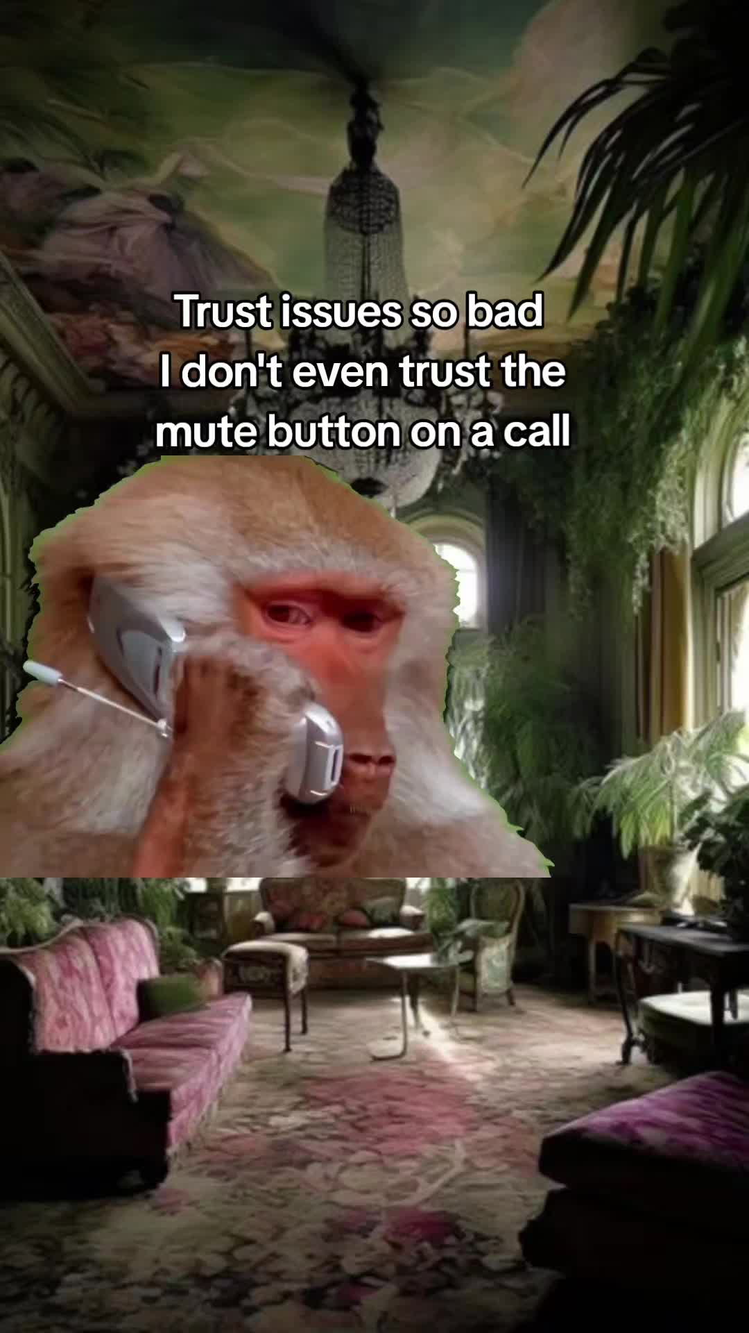 @Julie 👑