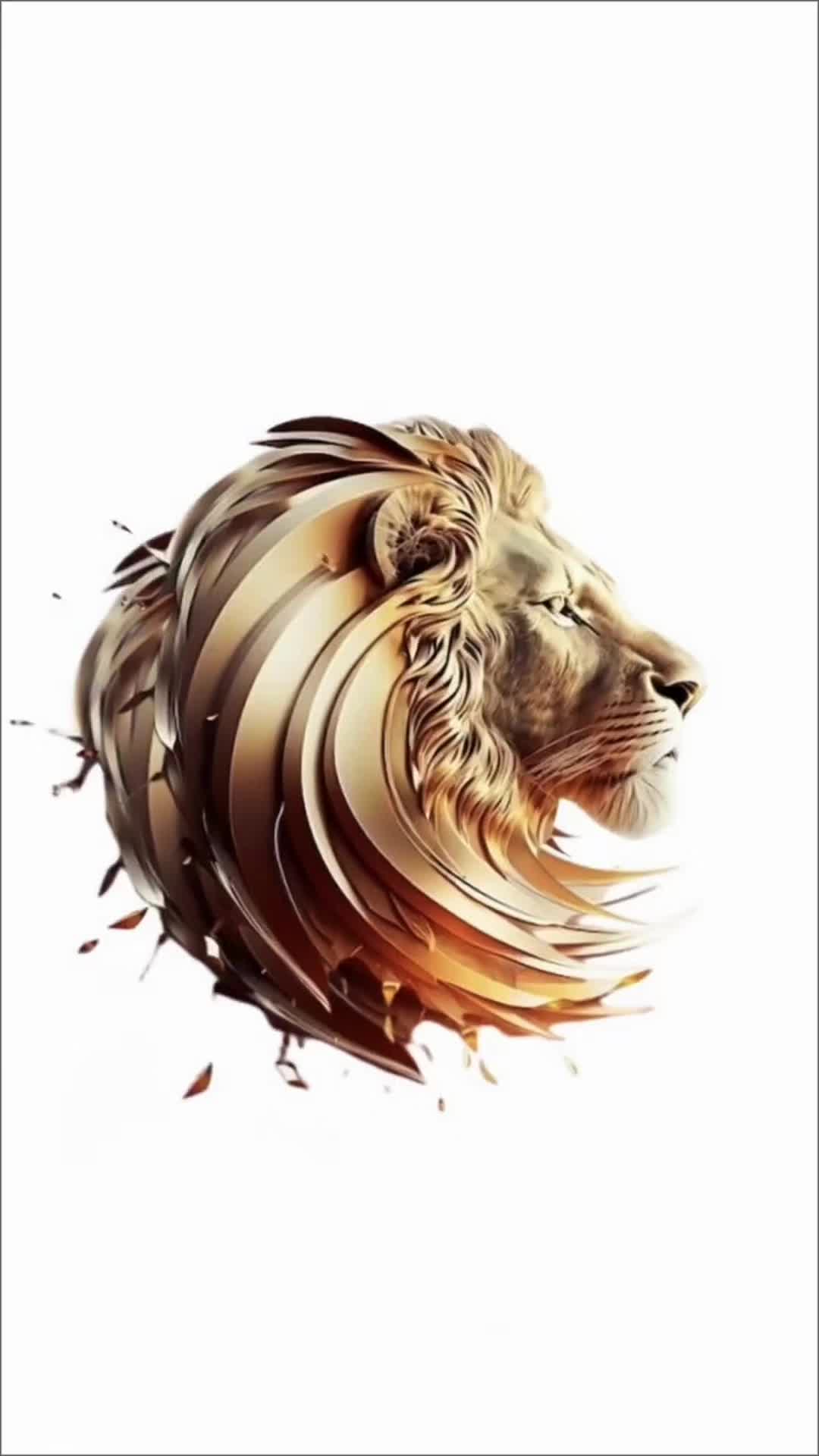 @MrWizzzzard