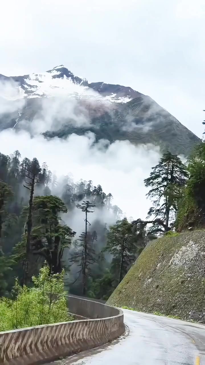 @Lionghoaho