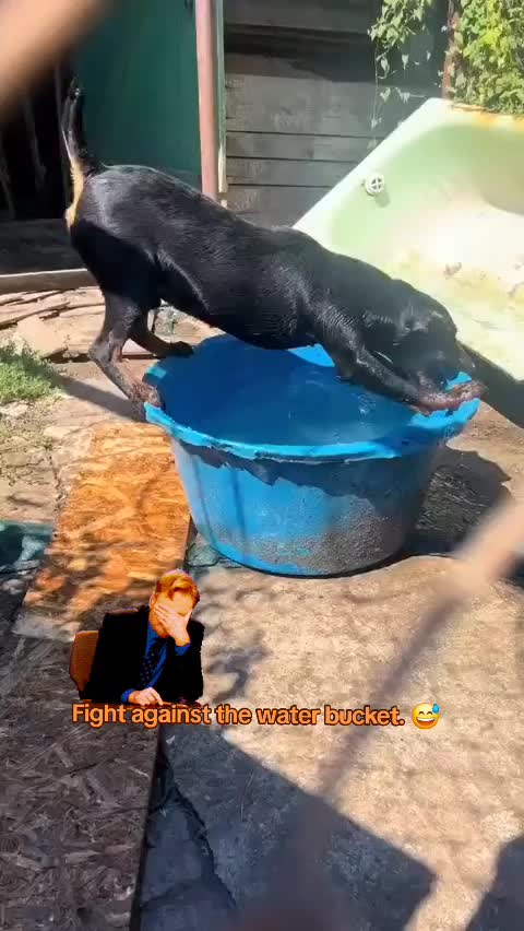 @🤣Vidéos Drôles.Zzz