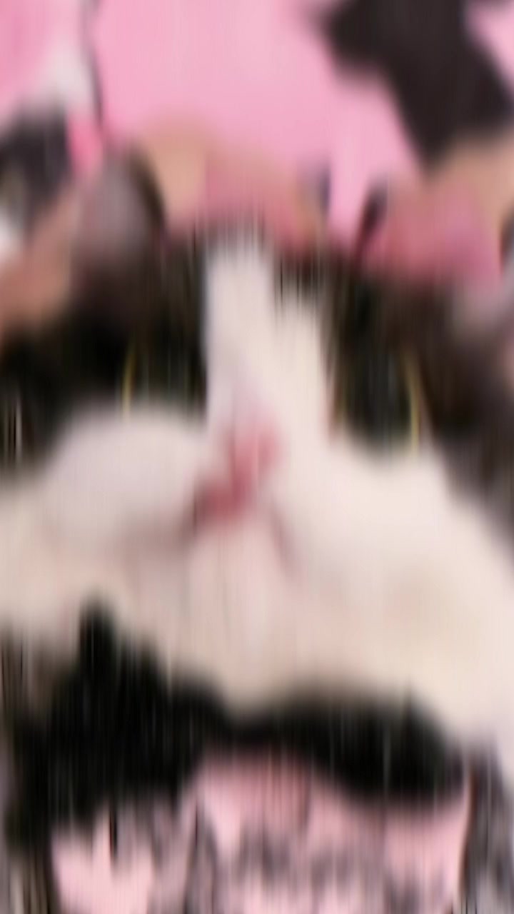 @Azaa🅰️