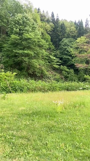 @Bishnu palli🇯🇵