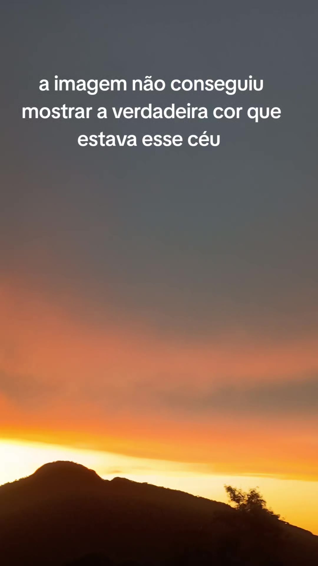 @vilmar alem&atilde;o