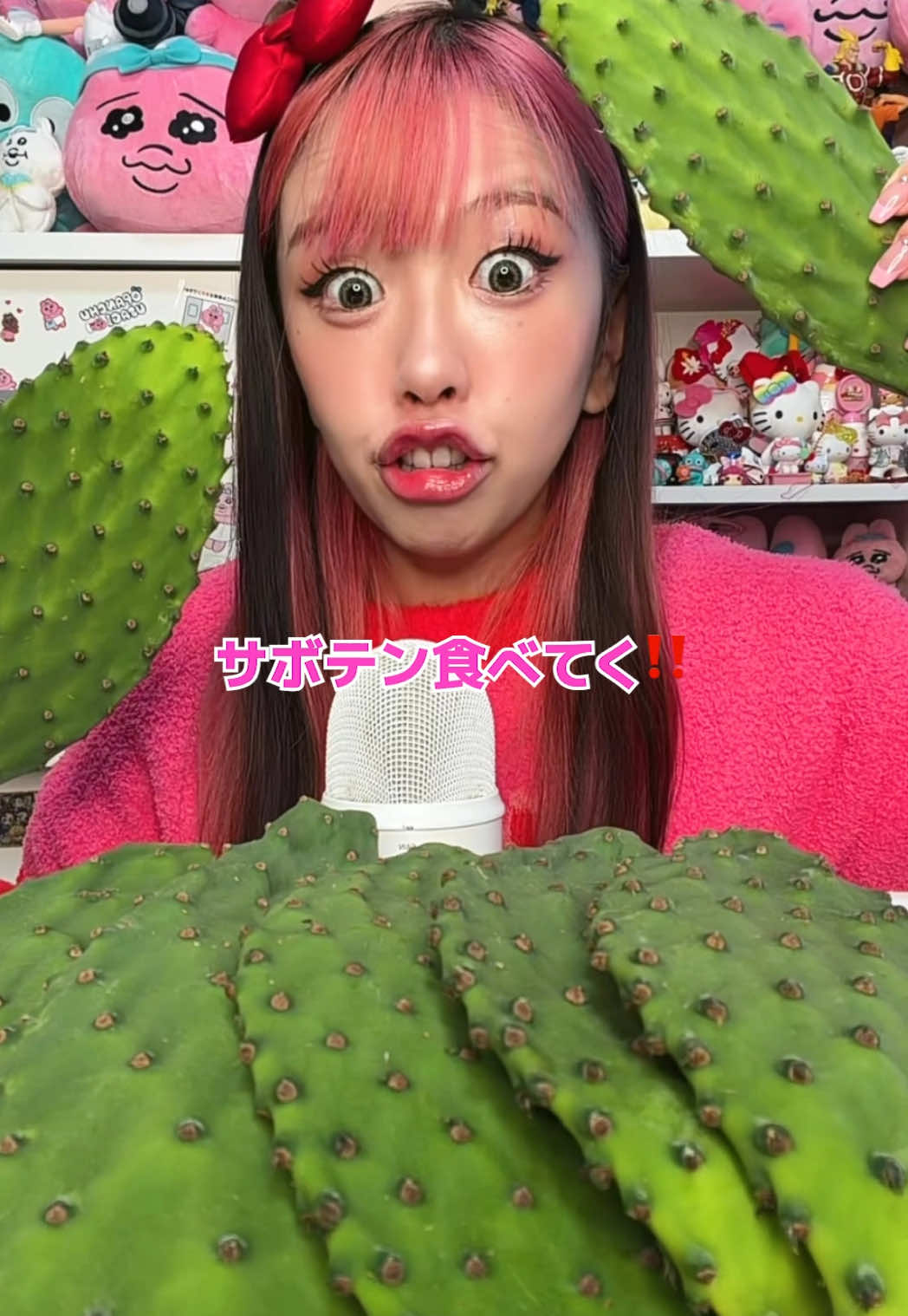 @矯正ちゃん🦷kotty【YouTube】
