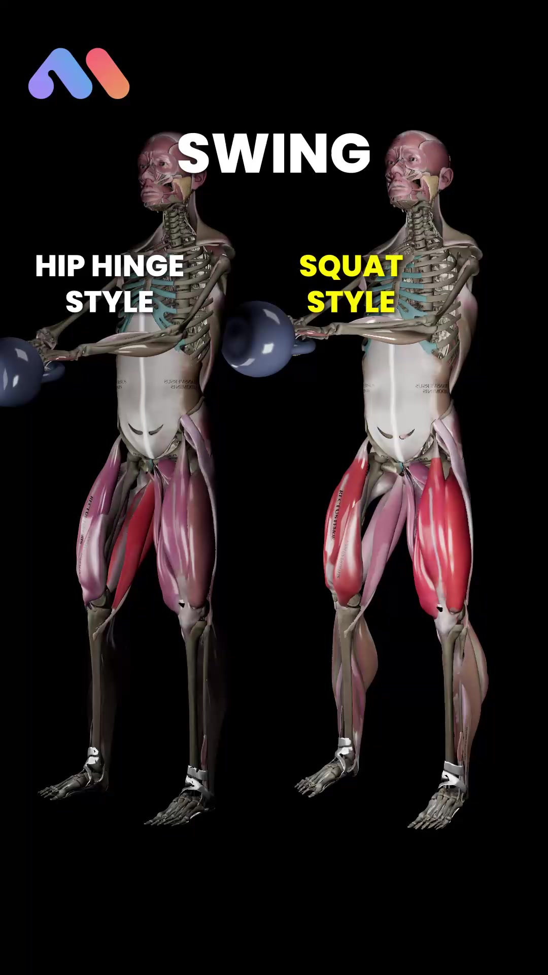 @Muscle & Motion