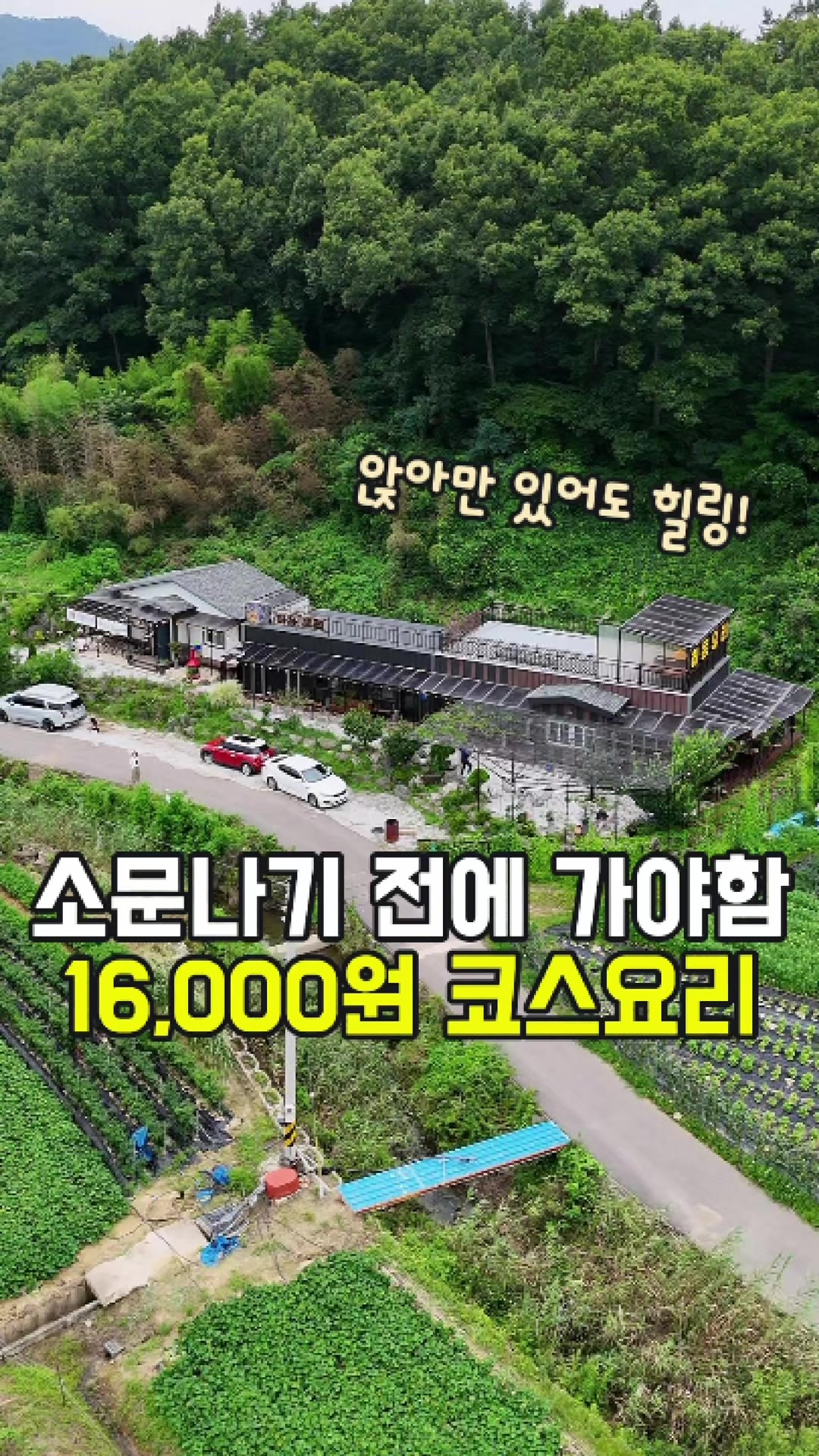 @대전토박이