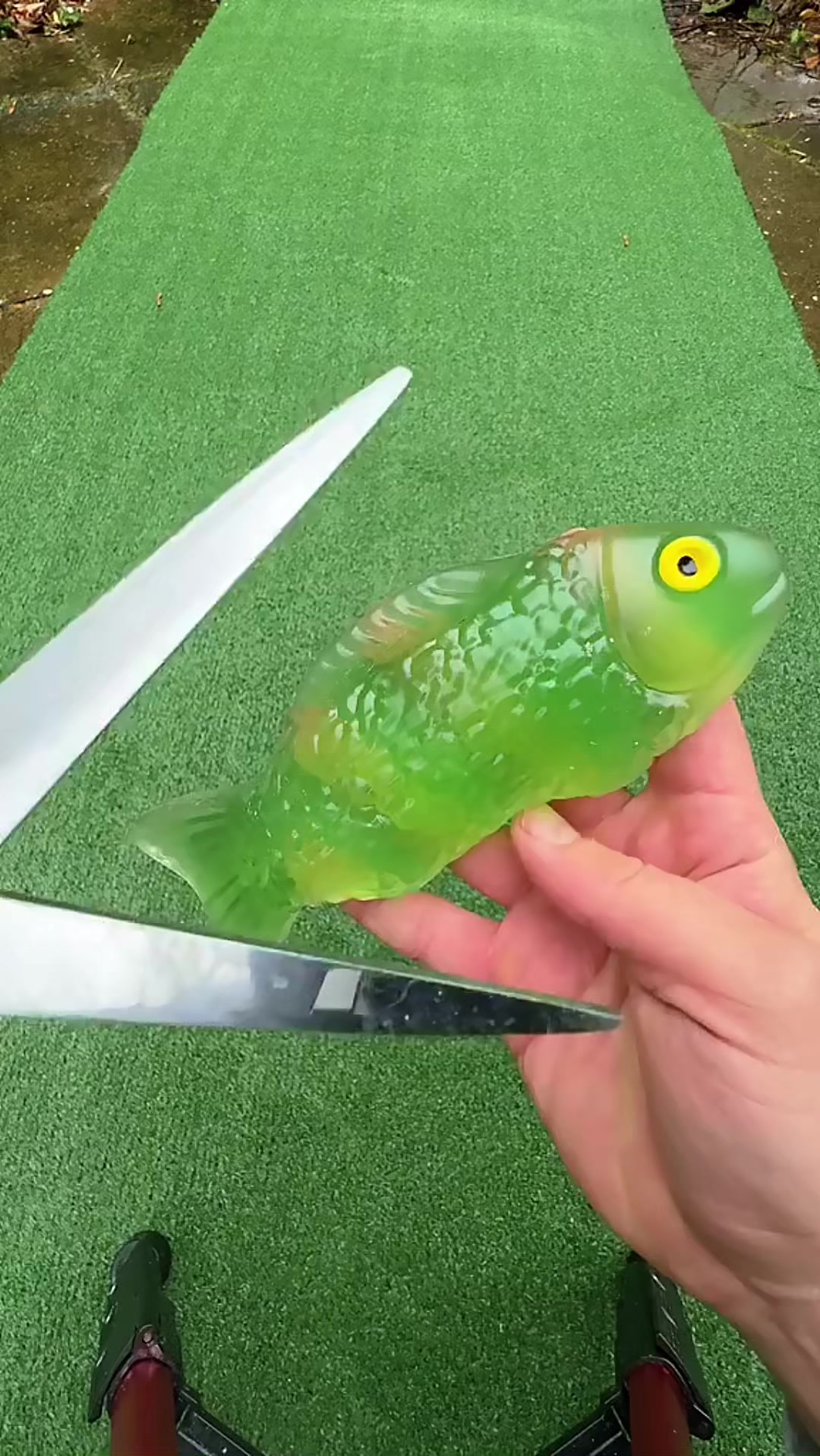 @SHARK ASMR 🦈