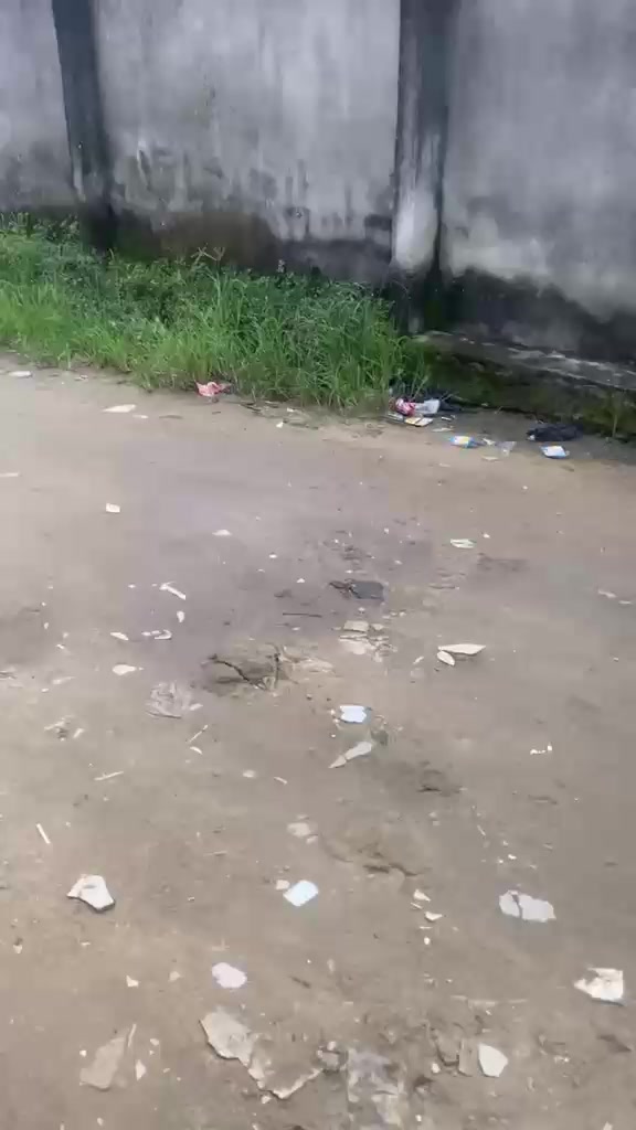 @Kemi FC🦅